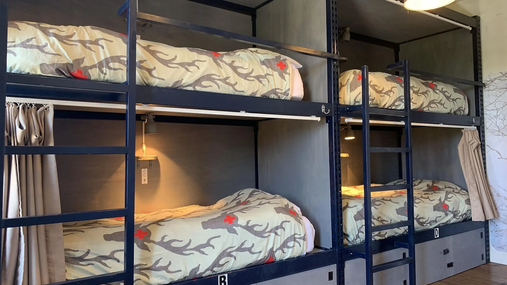 Hostel Fish Ντένβερ Ηνωμένες Πολιτείες της Αμερικής